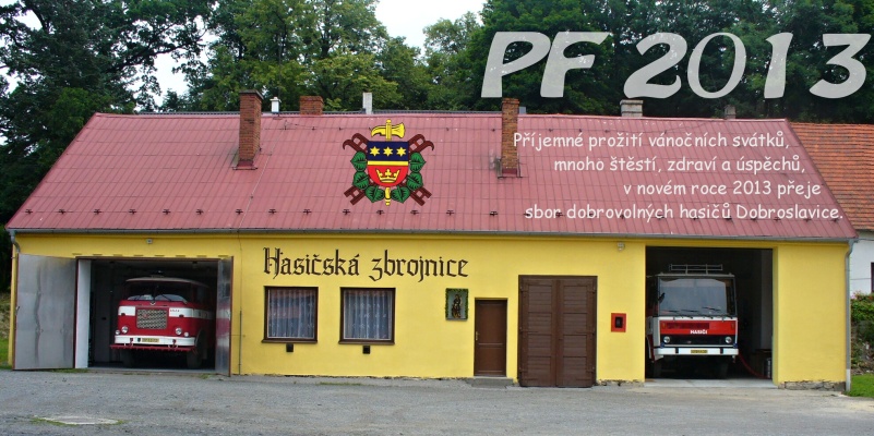 PF 2013